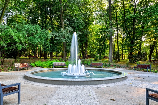Green park in the city of Chrzanow, Poland.