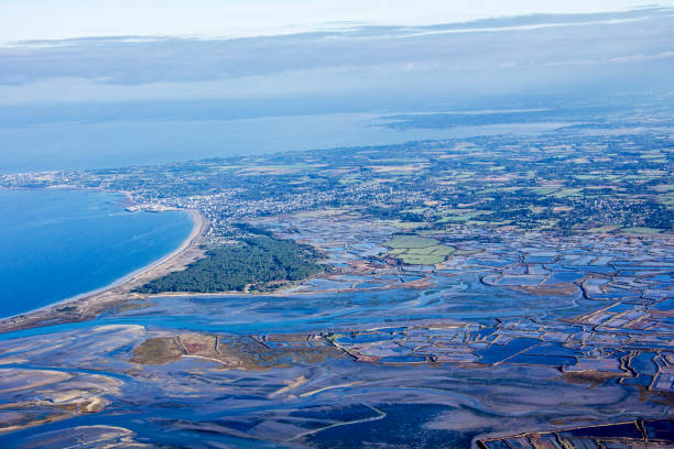 istock Flight on the Atlantic coast, Loire estuary and salt marsh 859087680