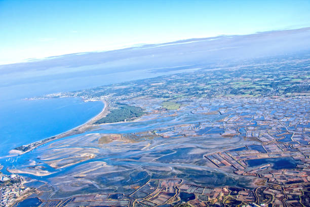 istock Flight on the Atlantic coast, Loire estuary and salt marsh 859090212