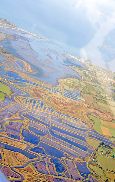istock Flight on the Atlantic coast, Loire estuary and salt marsh 859090688