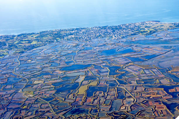 istock Flight on the Atlantic coast, Loire estuary and salt marsh 859091460