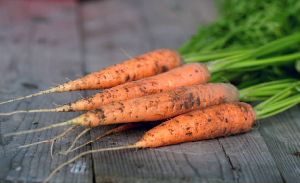 istock fresh crop of carrots 859094568