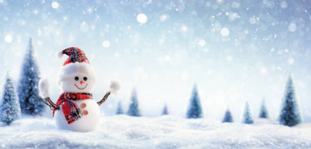 pupazzo di neve nel paesaggio invernale - snowman snow winter fun foto e immagini stock