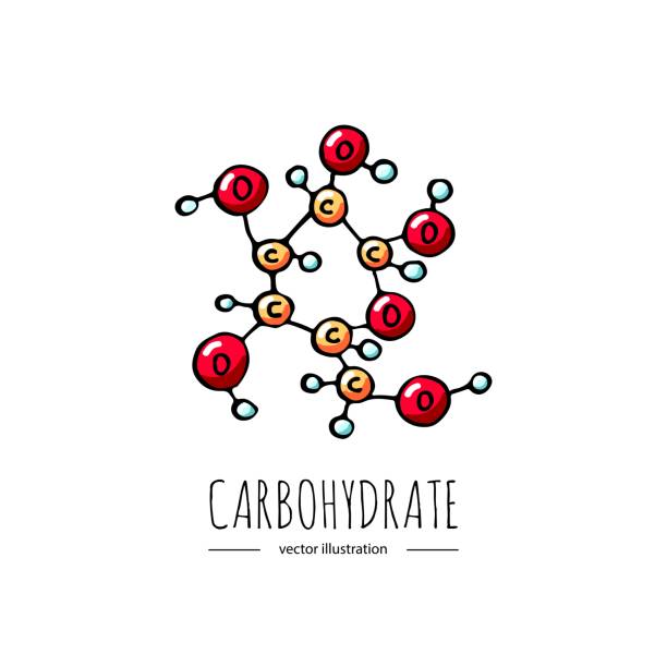 체중 감소 - carbohydrate stock illustrations