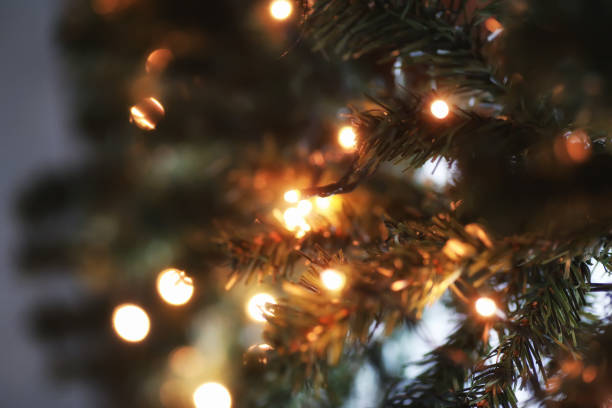 istock garland lights on fir tree branch blured background 859104912