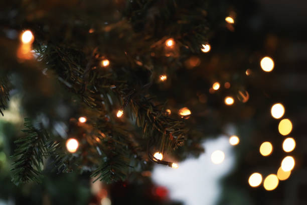 istock garland lights on fir tree branch blured background 859105014