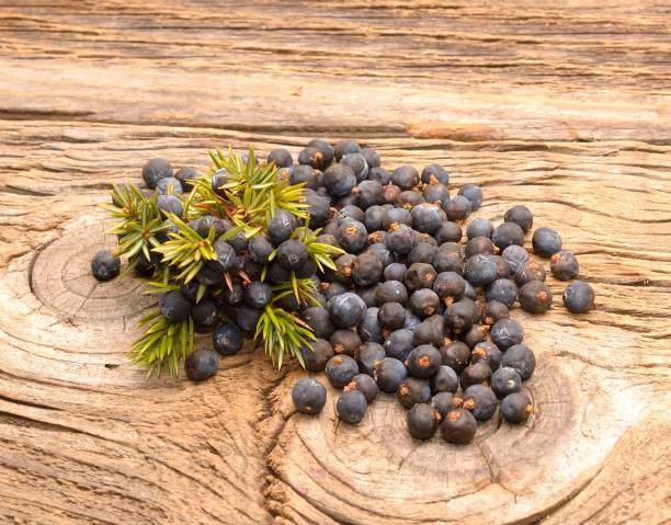 istock Juniper berries on a wooden background 859108102