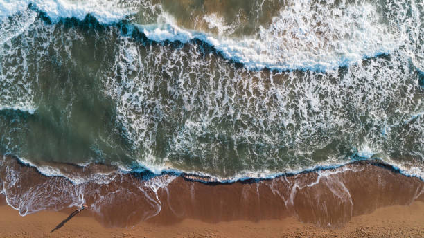 istock High angle view of man walking on the beach 859108410