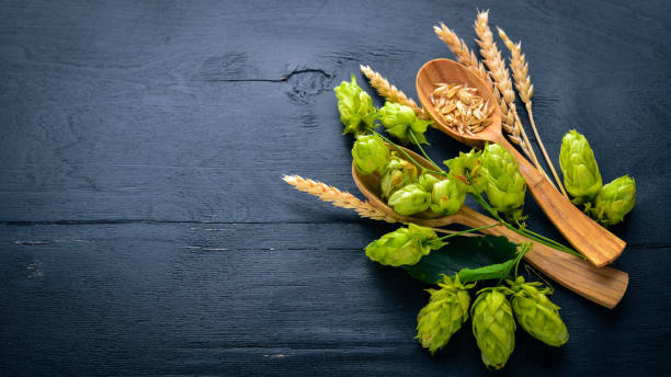 istock Wheat and hops on a wooden background. Top view. Free space for text. 859114380