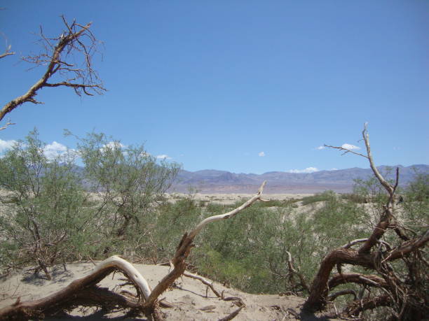 istock A Hot Day in the Desert 859118376