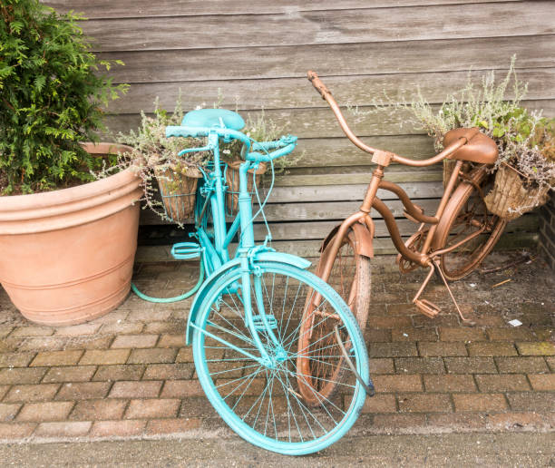 istock Bicycles as flower pots 859119322