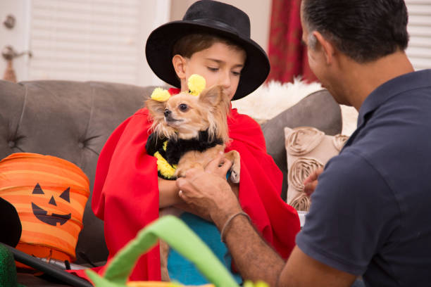 istock Little boy dresses up for Halloween with dad's help. 859123206