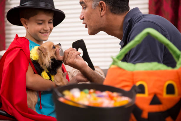 Cute little Latin descent boy dresses up for Halloween party or to go trick or treat with the help of his dad.  The boy holds his pet dog, who is dressed in a bee costume.  The pair have lots of fun choosing costumes at home family room setting.