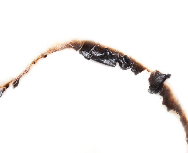 istock burnt hole in a paper 859129576