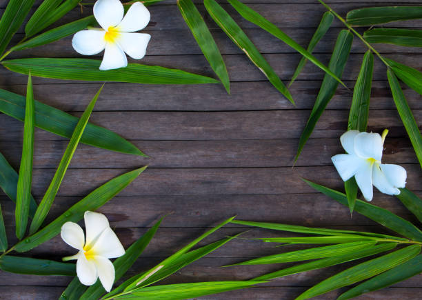 istock Bamboo leaf frame on rustic wooden background. Bamboo leaf and frangipani flower on timber. 859129660