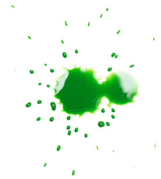 istock green spot blotch on white background 859130300
