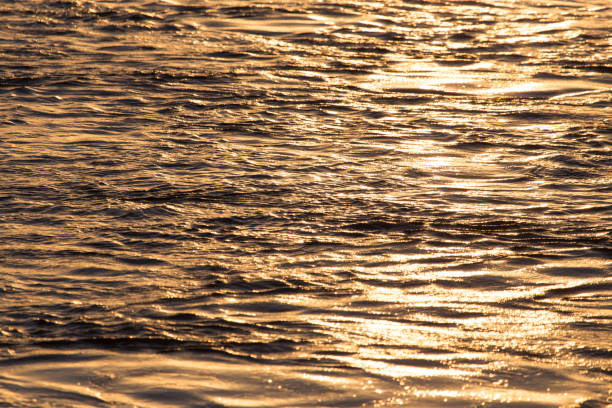 istock Background of the water surface at sunset 859139210
