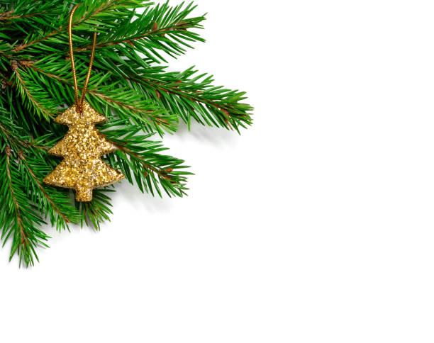 istock Christmas fir branch with glitter Christmas tree on a white. 859139362