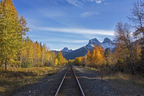 kanadyjska linia kolejowa na pacyfiku w górach skalistych - alberta canada animal autumn zdjęcia i obrazy z banku zdjęć