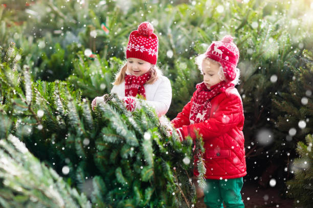 istock Kids select Christmas tree. Family buying Xmas tree. 859143718