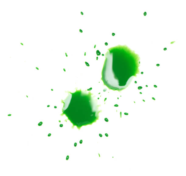 istock green spot blotch on white background 859149930