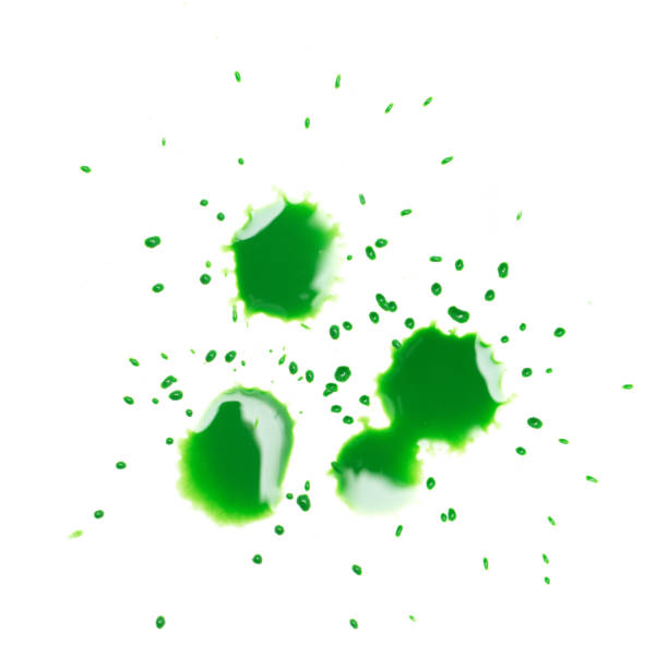 istock green spot blotch on white background 859149940