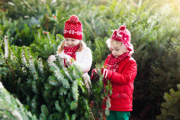 istock Kids select Christmas tree. Family buying Xmas tree. 859153820