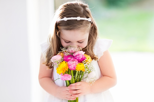Cute little girl in white dress holding ranunculus flowers bouquet on birthday party. Little flower girl at wedding. Child with summer flowers. Kid with spring blossoms on christening celebration.