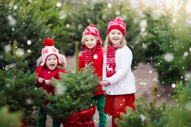 dzieci wybierające choinkę. prezenty xmas zakupy. - scandinavian peninsula winter pine tree tree zdjęcia i obrazy z banku zdjęć