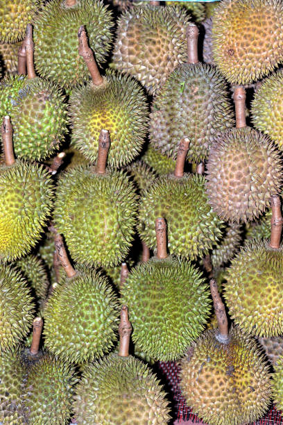 istock Background of Durian. 859161486