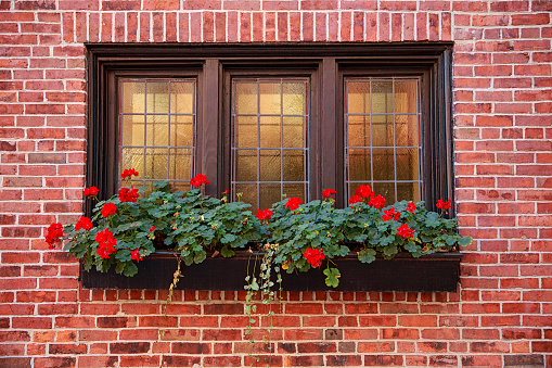 window decorated with flowers
