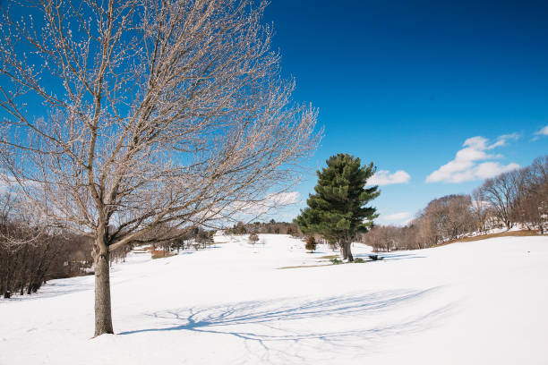 golf fields under the snow. Copy space for your text