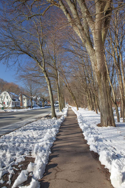 istock pavement cleared of snow in the suburbs 859163712