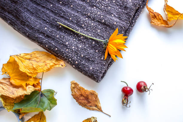 istock Still life autumn decoration 859167490