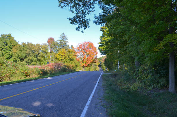 4 Seasons - Autumn Road Trip