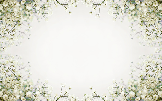 White flowers frame on white background