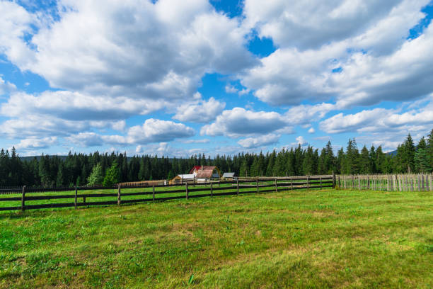 istock Sunny day in the mountains 859181010