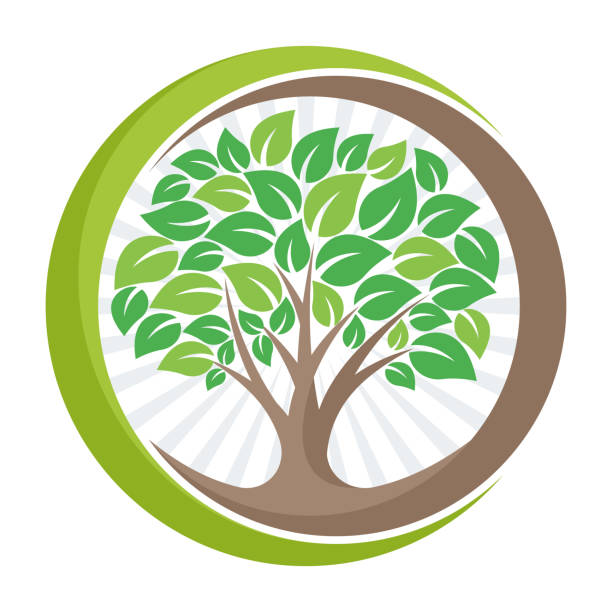 illustrations, cliparts, dessins animés et icônes de icône arbre avec le sens de la croissance, développer, ou gestion de l’environnement vert. - protection de lenvironnement illustrations