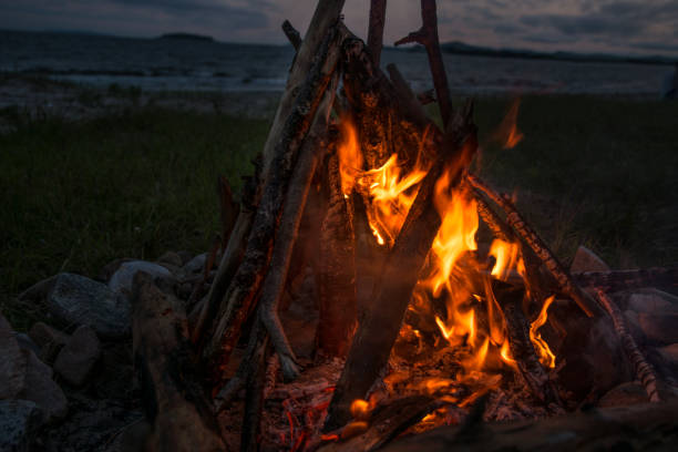 istock fire burning on the beach at night. bright fire, firewood. 859185798