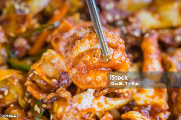 Stirfried Spicy Octopus Stock Photo - Download Image Now - Korean War, 2010 Asian Games, Asian Games