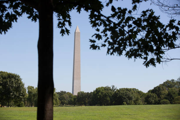 istock Washington Monument in Washington District of Columbia 859192628