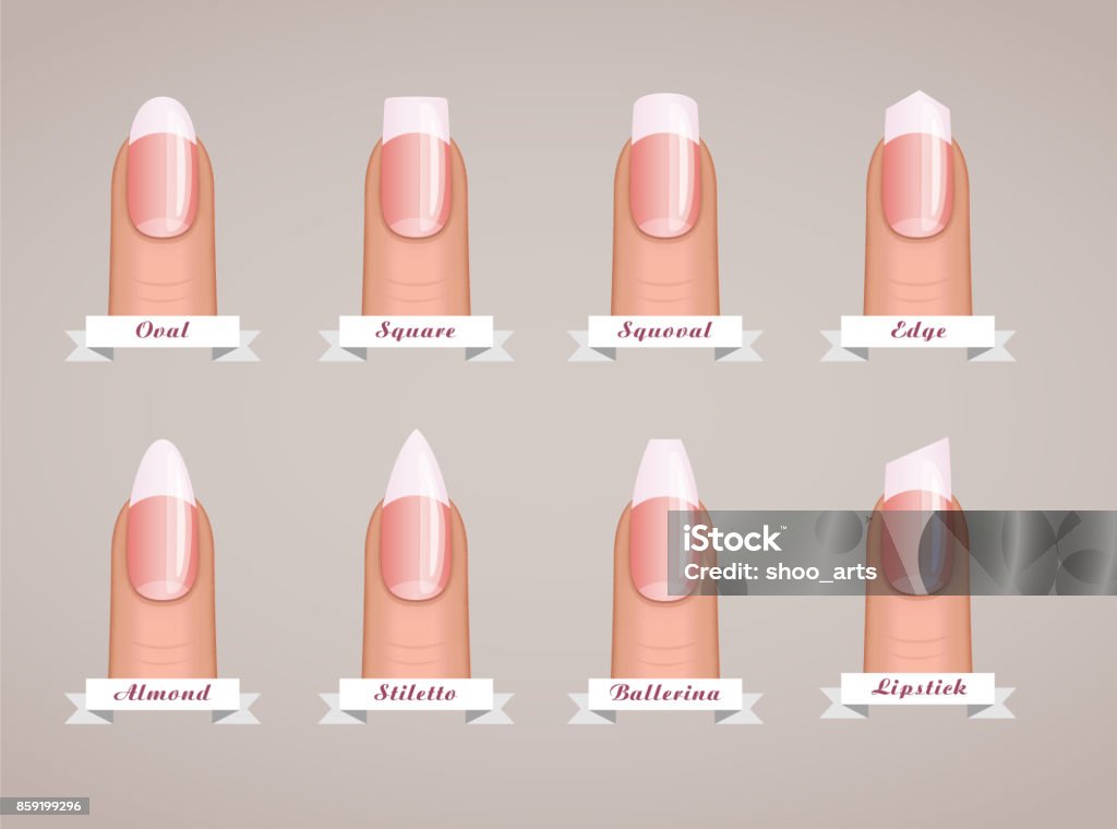 Professional Manicure Different Shapes Of Nails Vector Stock Illustration -  Download Image Now - iStock