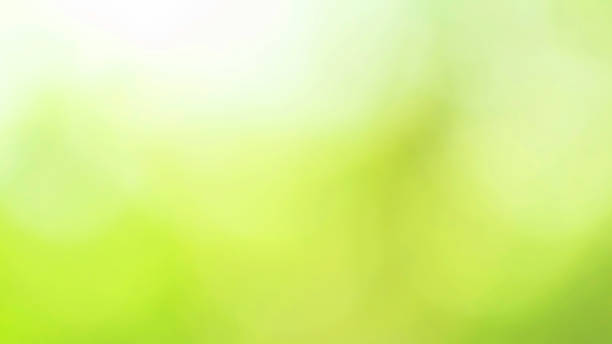 istock Bokeh green abstract background. Blurred leaves in nature. 859201900