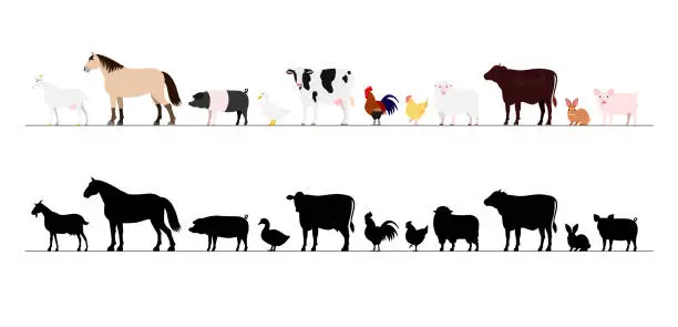 Vector illustration of Farm animals border set