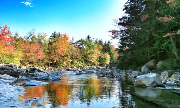 istock Fall colours of New England 859223700