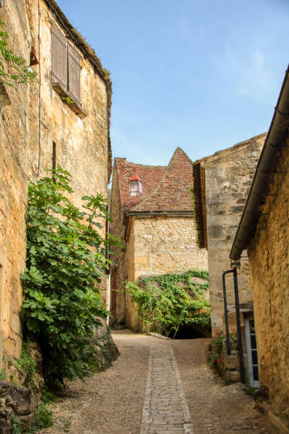 istock beynac-et cazenac village 859224026