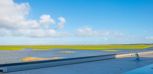Shore of a lake seen from a viewing point below a blue sky