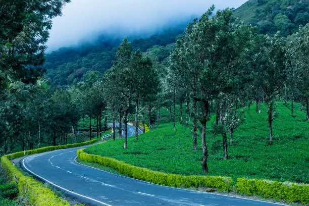 Valparai is a Taluk and hill station in the Coimbatore district of Tamil Nadu, India. It is located 3,500 feet (1,100 m) above sea level on the Anaimalai Hills range
