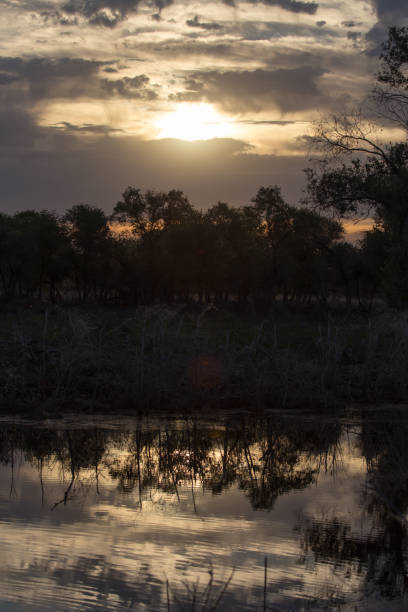 istock sunrise in the morning on the pond 859230348