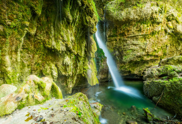 piękny wodospad hinang w: sonthofen/ bavaria - longtime zdjęcia i obrazy z banku zdjęć